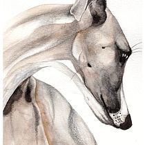 Galgo - Tecniche sperimentali di acquerello per principianti. Traditional illustration, Fine Arts, Watercolor Painting, and Naturalistic Illustration project by cri & ste - 09.19.2021