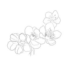 Mi Proyecto del curso: Diseño de tatuajes botánicos con Procreate. Projekt z dziedziny Trad, c, jna ilustracja, Ilustracja c, frowa, Projektowanie tatuaż, R i sunek botaniczn użytkownika Pamela Maldonado - 21.09.2021