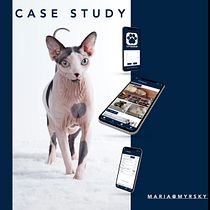 My project in Presentation Design: Create a Professional Template course. Un projet de Gestion de la conception, Design graphique, Design de l'information, Marketing , et Communication de Maria Myrskyvuori - 20.09.2021
