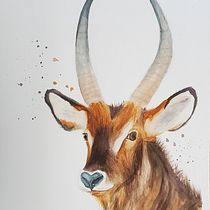 My project in Expressive Animal Portraits in Watercolor course. Un projet de Illustration traditionnelle, Aquarelle, Dessin réaliste et Illustration naturaliste de Alysa Vincent - 21.09.2021