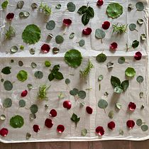 My project in Botanical Printing on Fabric and Paper course. Arts, Crafts, Fashion Design, DIY, Textile D, and eing project by delamunn - 09.21.2021