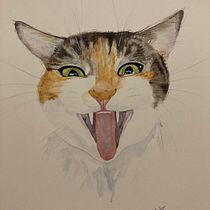 My project in Expressive Animal Portraits in Watercolor course. Un projet de Illustration traditionnelle, Aquarelle, Dessin réaliste et Illustration naturaliste de madarahudson - 23.09.2021