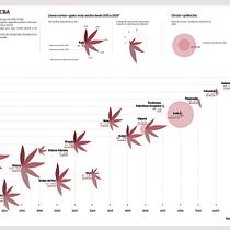 My project in Data Visualization and Information Design: Create a Visual Model course. Un progetto di Design dell’informazione, Design interattivo, Infografica, Graphic design, Illustrazione tradizionale, Design, Illustrazione digitale e Design digitale di Sandra Rosado - 21.09.2021