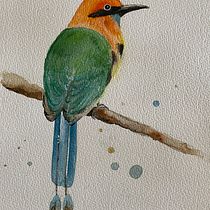 My project in Artistic Watercolor Techniques for Illustrating Birds course. Traditional illustration, Watercolor Painting, Realistic Drawing, and Naturalistic Illustration project by Amruta Machetty - 09.23.2021