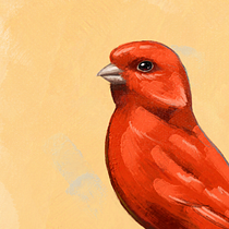 bird motif. Ilustração digital, Desenho de retrato, e Pintura digital projeto de andreh cimoins - 25.09.2021