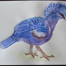My project in Naturalist Bird Illustration with Watercolors course. Projekt z dziedziny Trad, c, jna ilustracja, Malowanie akwarelą, R, sunek realist, czn, Ilustracja naturalist i czna użytkownika janerob100 - 31.08.2021
