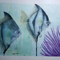 Meu projeto do curso: Ilustração de universos marinhos em aquarelas. Un projet de Illustration traditionnelle, Peinture, Aquarelle et Illustration naturaliste de Priscila Freitas - 25.09.2021
