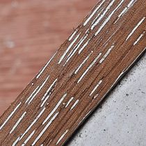 Vetas. Un progetto di Architettura, Direzione artistica, Consulenza creativa, Design editoriale, Belle arti, Graphic design e Scenografia di Tr MtyRbl - 25.09.2021