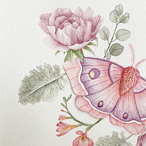 Mi Proyecto del curso: Dibujo y composición naturalista en acuarela. Traditional illustration, Drawing, Watercolor Painting, and Naturalistic Illustration project by Estefania Larracoechea - 09.23.2021