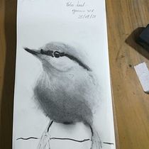 Mi Proyecto del curso: Acuarela artística para ilustración de aves. Traditional illustration, Watercolor Painting, Realistic Drawing, and Naturalistic Illustration project by Natalia IG - 09.27.2021