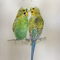 My project in Artistic Watercolor Techniques for Illustrating Birds course - Budgerigars. Traditional illustration, Watercolor Painting, Realistic Drawing, and Naturalistic Illustration project by Ruth Sparrow - 09.24.2021