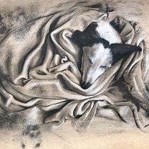 My project in Artistic Charcoal Portraiture: Creating Atmosphere course. Ilustração tradicional, Artes plásticas, Desenho, Desenho de retrato, Desenho realista, e Desenho artístico projeto de Silvia Maspoli - 25.09.2021