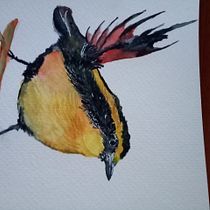 Mi Proyecto del curso: Ilustración naturalista de aves con acuarela. Projekt z dziedziny Trad, c, jna ilustracja, Malowanie akwarelą, R, sunek realist, czn, Ilustracja naturalist i czna użytkownika nfguzmansalinas - 26.09.2021
