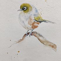 My project in Artistic Watercolor Techniques for Illustrating Birds course. Traditional illustration, Watercolor Painting, Realistic Drawing, and Naturalistic Illustration project by kea_folpp - 09.17.2021