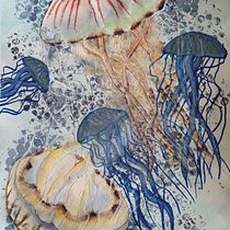 Mein Kursprojekt: Illustrierte Natur: eine kreative Erkundung. Traditional illustration, Painting, Drawing, Watercolor Painting, Ink Illustration, and Naturalistic Illustration project by Sonja Aeschlimann - 09.27.2021