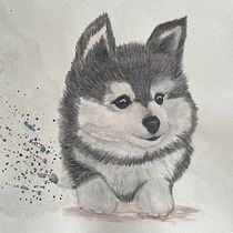 Cutie Pie. Un projet de Aquarelle, Illustration traditionnelle, Dessin réaliste et Illustration naturaliste de Freda Coetzee - 28.09.2021