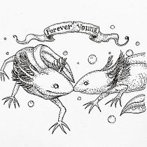 My project in Blackwork Tattoo Design course. Un projet de Conception de tatouage et Illustration traditionnelle de Nelli Hissant - 27.09.2021