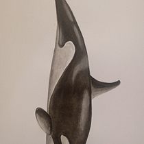 Mi Proyecto del curso: Técnicas de ilustración naturalista: ballenas en acuarela. Un progetto di Illustrazione tradizionale, Design di poster , Illustrazione digitale e Manga di Paula FERREYRA - 24.09.2021