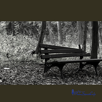 A Branch Falls in Karura forest. Writing, Creativit, Stor, telling, and Narrative project by Anthony Mwaura - 09.28.2021
