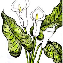 Mi Proyecto del curso: Ilustración botánica con acuarela. Ilustração tradicional, Artes plásticas, Pintura, Desenho, Pintura em aquarela e Ilustração botânica projeto de Joël Tello Signoret - 30.09.2021
