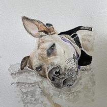 My project in Expressive Animal Portraits in Watercolor course. Un projet de Aquarelle de Tammy Lee - 30.09.2021