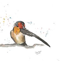 My project in Artistic Watercolor Techniques for Illustrating Birds course. Traditional illustration, Watercolor Painting, Realistic Drawing, and Naturalistic Illustration project by Silvia Maspoli - 09.30.2021