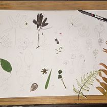 Meu projeto do curso: Sketchbook com carimbos feitos à mão. Traditional illustration, Pattern Design, Printing, and Sketchbook project by Gisele Franke - 10.08.2021