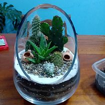 Mi Proyecto del curso: Arte vegetal: crea tu propio terrario abierto. Design de interiores, Paisagismo, Decoração de interiores, DIY, e Design floral e vegetal projeto de Pamela Castañeda C - 19.09.2021
