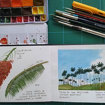 Palma de cera del Quindío: Cuaderno de viaje en acuarela. Traditional illustration, Watercolor Painting, Architectural Illustration, and Sketchbook project by Sandra Amelines - 10.01.2021