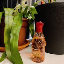 My project in Creative Writing for Beginners: Bringing Your Story to Life course: Scent and imagination. Writing, Creativit, Stor, telling, and Narrative project by celestetan - 09.30.2021