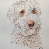 ELLA, One of our dogs in watercolour. Un projet de Illustration traditionnelle, Aquarelle, Dessin réaliste et Illustration naturaliste de aireyarts - 29.09.2021