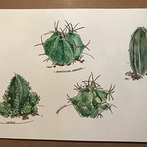 My project in Botanical Sketchbooking: A Meditative Approach course. Ilustração tradicional, Esboçado, Desenho, Pintura em aquarela, Ilustração botânica, e Sketchbook projeto de Jeni Bylsma - 03.10.2021