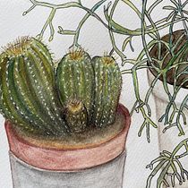 Mon projet du cours : Carnet de croquis botanique : une approche méditative. Ilustração tradicional, Esboçado, Desenho, Pintura em aquarela, Sketchbook e Ilustração botânica projeto de Fabienne Dumai - 03.10.2021