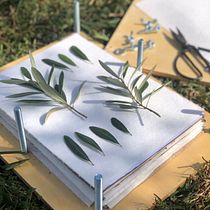 Mi Proyecto del curso: Técnicas básicas de prensado botánico. Arts, Crafts, Fine Arts, Collage, DIY, Floral, and Plant Design project by Inés Arias López - 10.03.2021