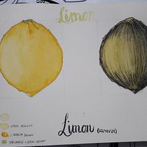 Mi Proyecto del curso: Cuaderno botánico en acuarela. Projekt z dziedziny Trad, c, jna ilustracja, Malowanie akwarelą, R, sunek botaniczn i Sketchbook użytkownika arantzaibb - 03.10.2021