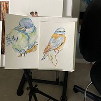 My project in Artistic Watercolor Techniques for Illustrating Birds course. Traditional illustration, Realistic Drawing, and Naturalistic Illustration project by dickster456 - 10.04.2021