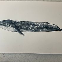 Mi Proyecto del curso: Técnicas de ilustración naturalista: ballenas en acuarela. Un progetto di Illustrazione tradizionale, Design di poster , Illustrazione digitale e Manga di galiaarte - 04.10.2021