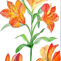 Meu projeto do curso: Aquarela botânica: ilustre a anatomia das flores. Un progetto di Illustrazione tradizionale, Belle arti, Pittura, Disegno, Pittura ad acquerello e Illustrazione botanica di Patrícia de Oliveira Dias - 04.10.2021