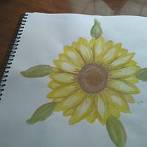 Mi Proyecto del curso: Ilustración botánica con acuarela. Ilustração tradicional, Artes plásticas, Pintura, Desenho, Pintura em aquarela e Ilustração botânica projeto de Isabel Veliz - 04.10.2021