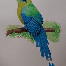 Mi Proyecto del curso: Ilustración naturalista de aves con acuarela. Projekt z dziedziny Trad, c, jna ilustracja, Malowanie akwarelą, R, sunek realist, czn, Ilustracja naturalist i czna użytkownika Sandra Amelines - 04.10.2021