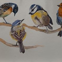 Il mio progetto del corso: Acquerello artistico per illustrazione di animali: gli uccelli. Traditional illustration, Realistic Drawing, Naturalistic Illustration, and Watercolor Painting project by Silvia Biagiotti - 10.04.2021