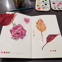 My project in Botanical Watercolor Sketchbook course. Projekt z dziedziny Trad, c, jna ilustracja, Malowanie akwarelą, R, sunek botaniczn i Sketchbook użytkownika Rebekah McDonald - 05.10.2021