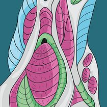 Mi Proyecto del curso: Ilustraciones con sello personal para productos. Traditional illustration, Br, ing, Identit, Packaging, Vector Illustration, and Digital Illustration project by Johan Ant Mejia Peralta - 10.05.2021
