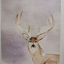 Il mio progetto del corso: Ritratti espressivi di animali ad acquerello. Un projet de Illustration traditionnelle, Dessin réaliste, Illustration naturaliste , et Aquarelle de Ornella Ferrari - 07.10.2021