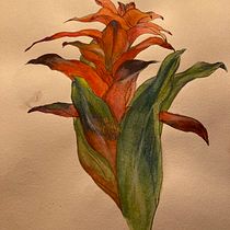My project in Botanical Sketchbooking: A Meditative Approach course. Ilustração tradicional, Esboçado, Desenho, Pintura em aquarela, Ilustração botânica, e Sketchbook projeto de nijoint - 07.10.2021