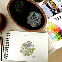 Il mio progetto del corso:  Sketchbook botanico: un approccio meditativo. Ilustração tradicional, Esboçado, Desenho, Pintura em aquarela, Ilustração botânica, e Sketchbook projeto de Nicoletta Alba - 07.10.2021