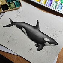 Mi Proyecto del curso: Técnicas de ilustración naturalista: ballenas en acuarela. Un proyecto de Ilustración tradicional, Diseño de carteles, Ilustración digital y Manga de Núria Puig Esteban - 08.10.2021