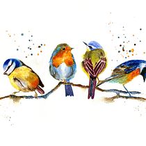 My project in Artistic Watercolor Techniques for Illustrating Birds course. Traditional illustration, Watercolor Painting, Realistic Drawing, and Naturalistic Illustration project by S Shing Lim - 10.09.2021