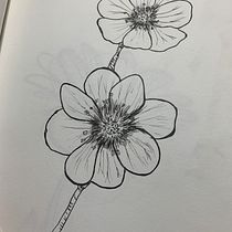 My project in Botanical Sketchbooking: A Meditative Approach course. Ilustração tradicional, Esboçado, Desenho, Pintura em aquarela, Ilustração botânica, e Sketchbook projeto de jsyhww - 06.10.2021