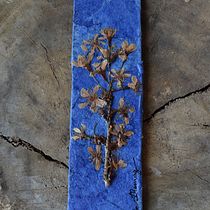 Meu projeto do curso: Técnicas básicas para prensar flores e plantas. Arts, Crafts, Fine Arts, Collage, DIY, Floral, and Plant Design project by Lucia Thomaz - 10.10.2021